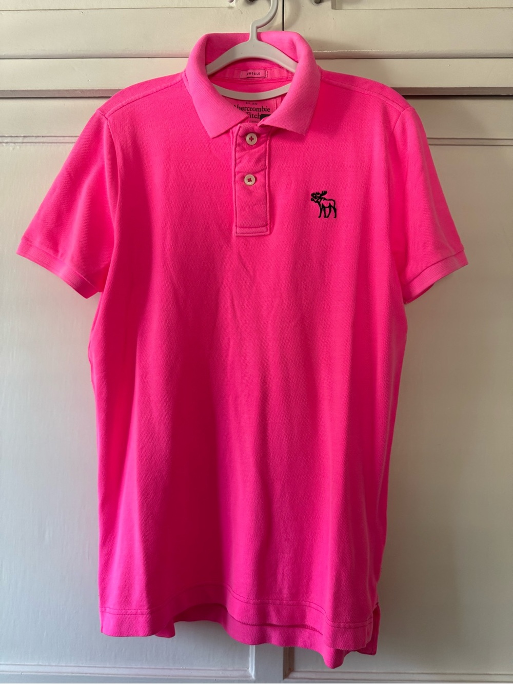 Abercrombie & Fitch Neon Pink Cotton Polo with Embroidered Moose Sz L